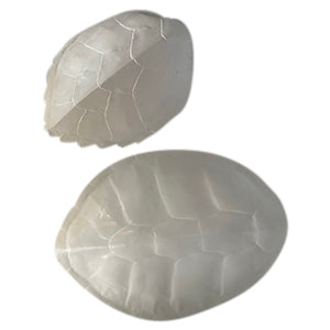 Medium White Faux Turtle Shell