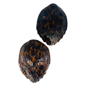 Faux Tortoise Turtle Shell Pair